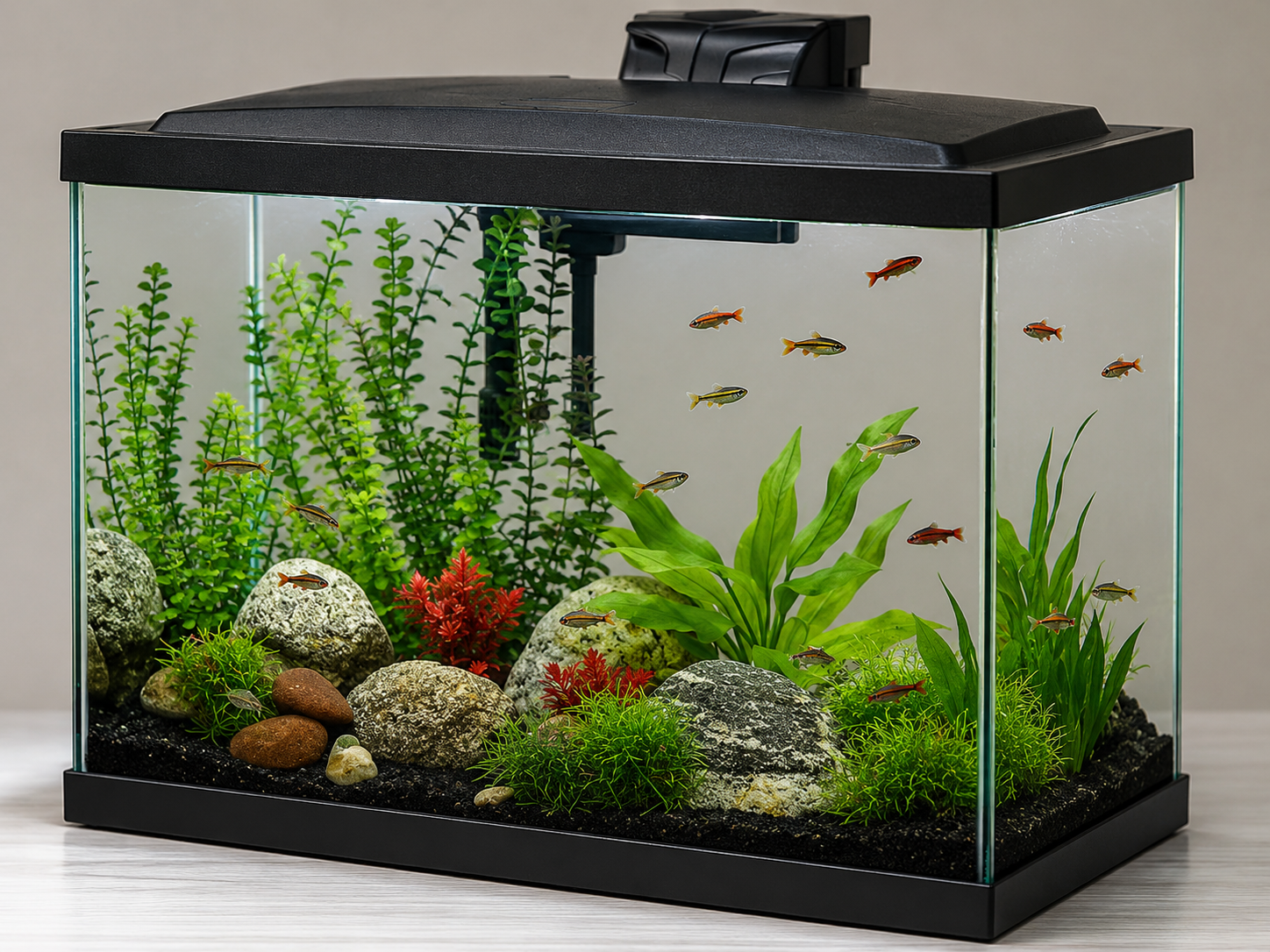 Fish Tank
