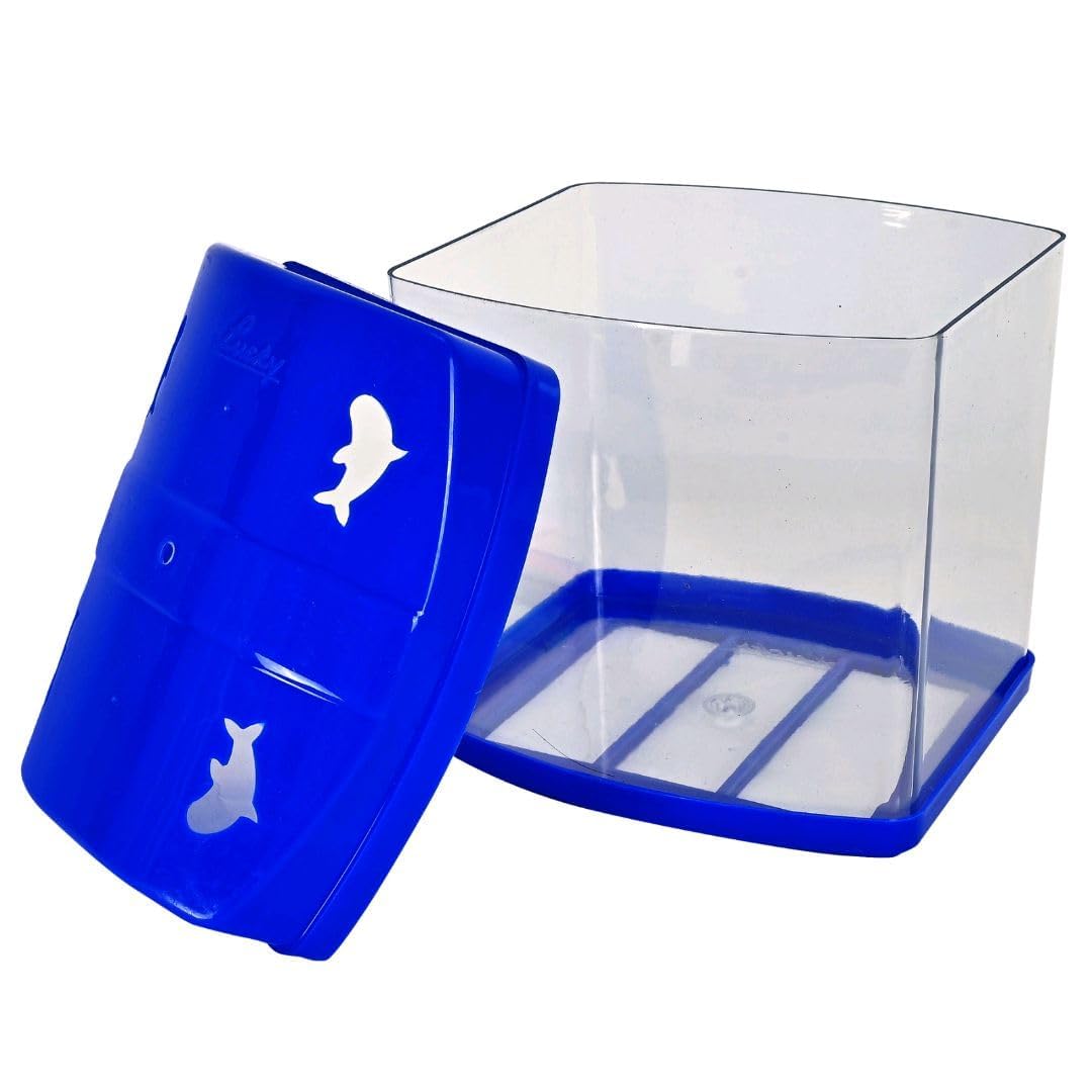 MINI Betta Fish Tank