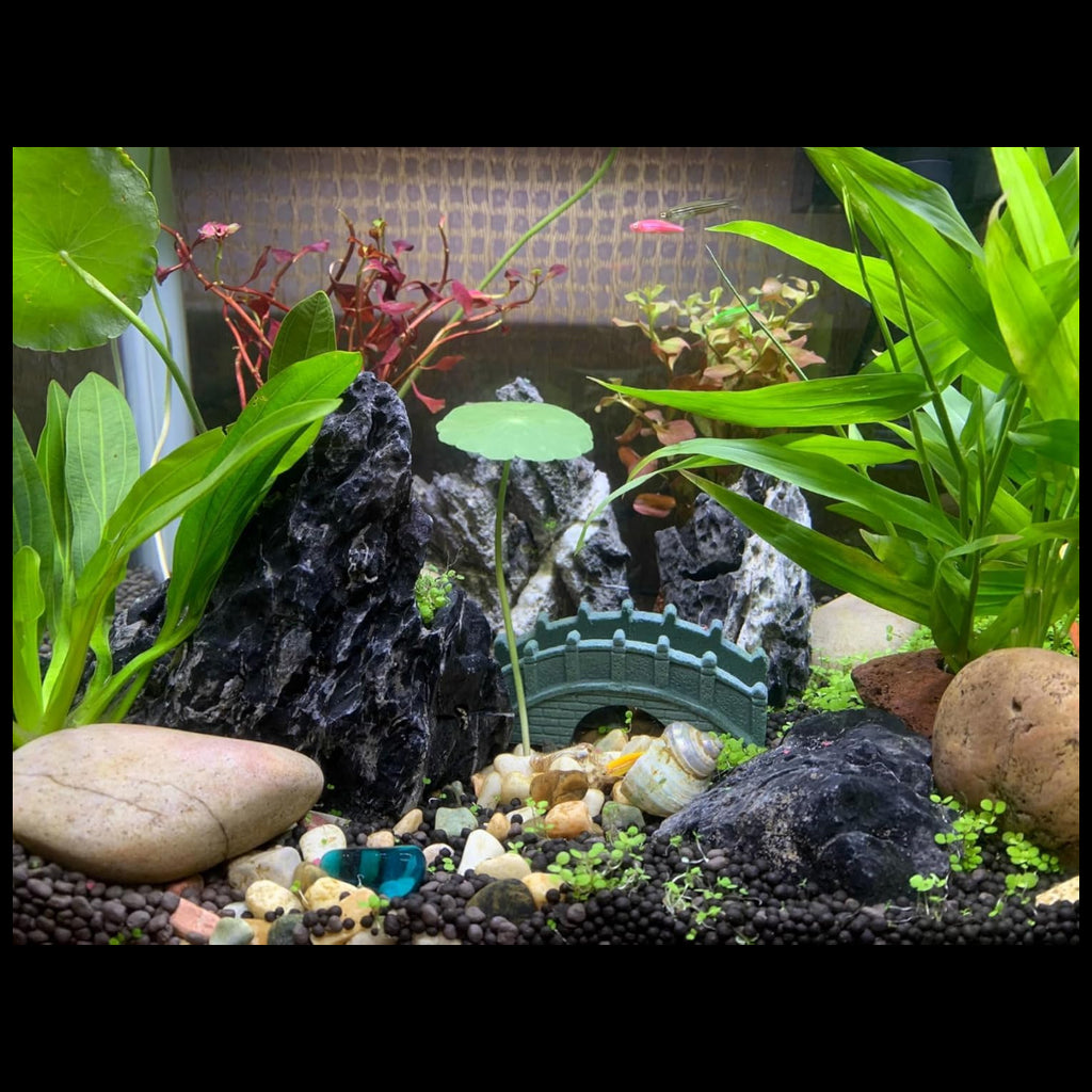 Seiryu stone