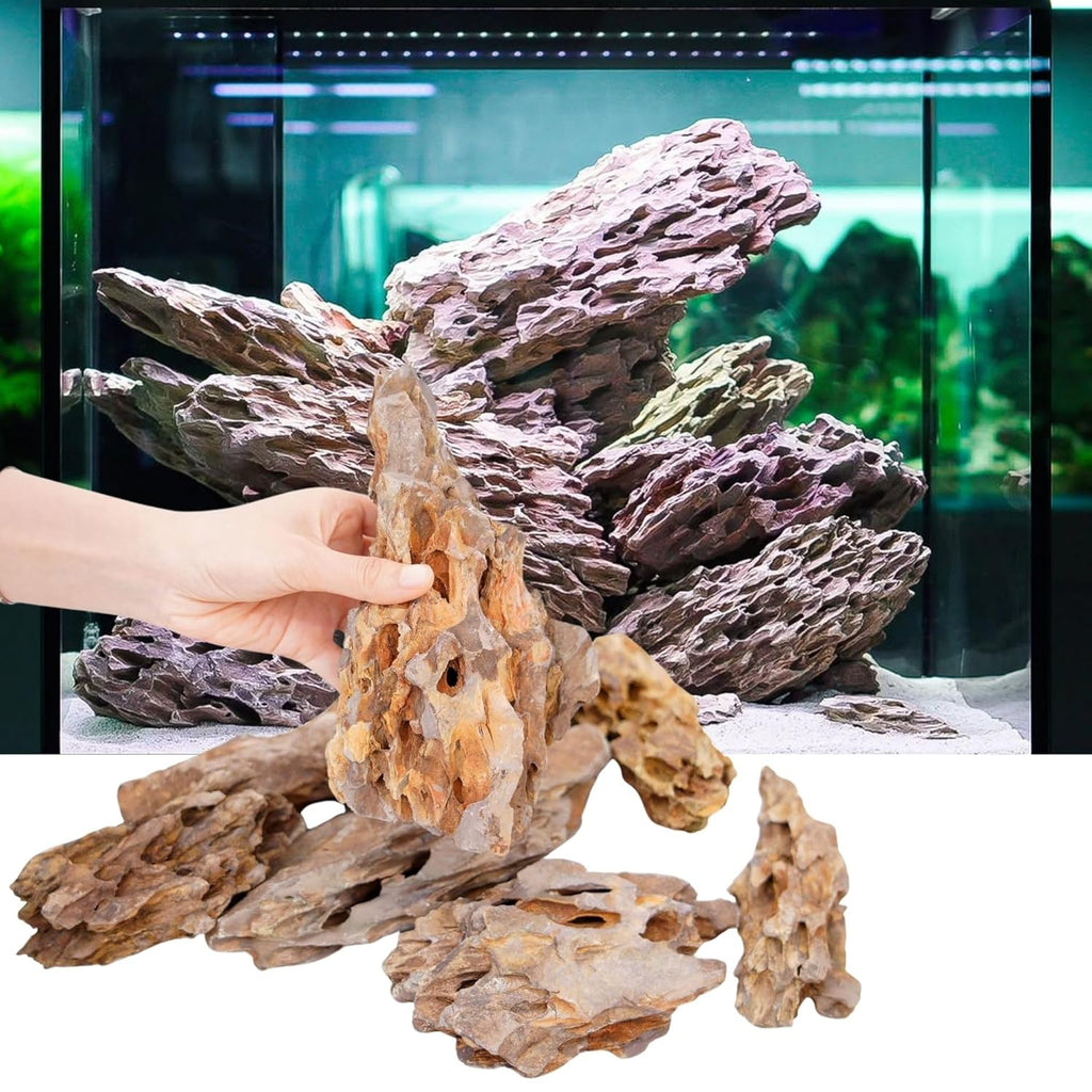 Aquarium Dragon Rock