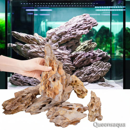 Aquarium Dragon Rock