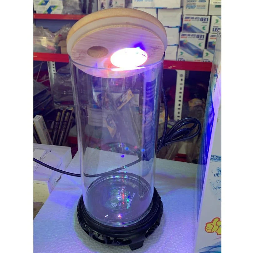 BluePet TP-10 Cylindrical Aquarium – Ultra-Clear 4K View (23cm)