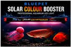 Bluepet Solar Colour Booster Aquarium LED Light – Professional Fish Colour Enhancing Lamp