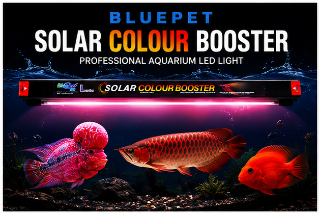 Bluepet Solar Colour Booster Aquarium LED Light – Professional Fish Colour Enhancing Lamp