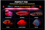 Bluepet Solar Colour Booster Aquarium LED Light – Professional Fish Colour Enhancing Lamp