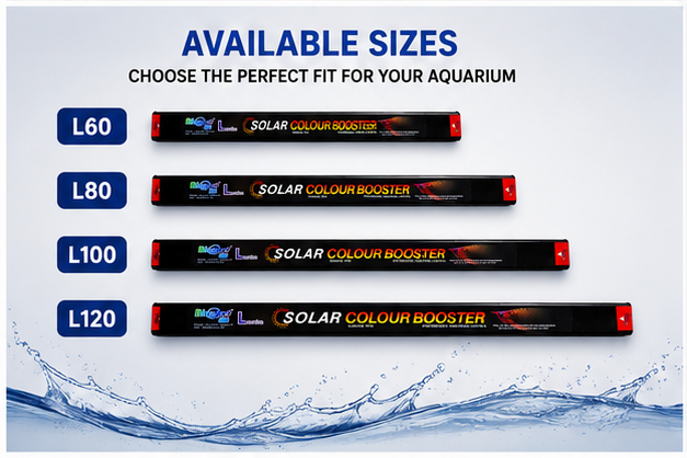 Bluepet Solar Colour Booster Aquarium LED Light – Professional Fish Colour Enhancing Lamp