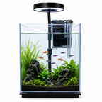 Bluepet BL-07 Desktop Aquarium with LED Light & Filter | Nano Fish Tank