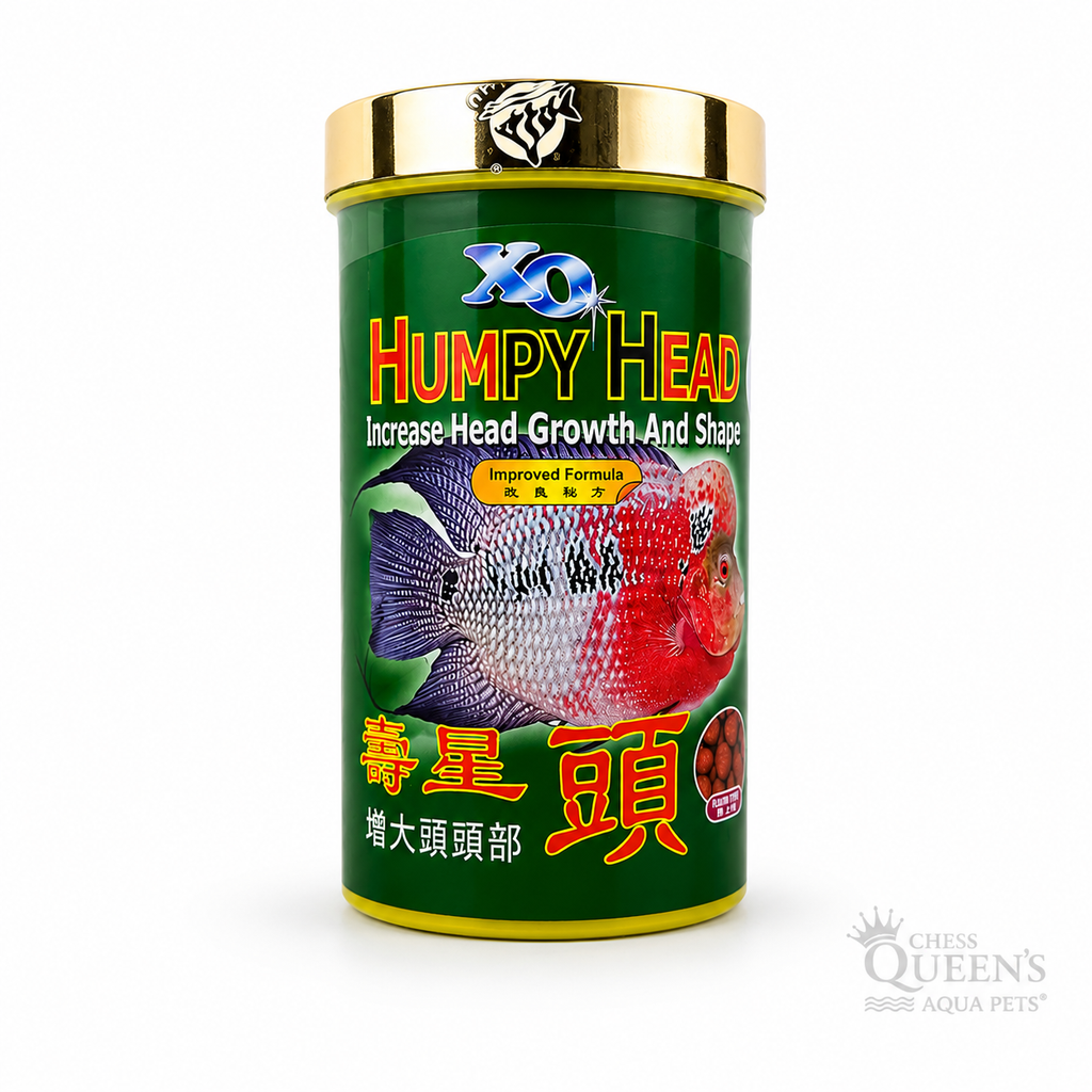 Ocean Free XO Humpy Head Flowerhorn Fish Food | Enhances Head Growth & Body Shape