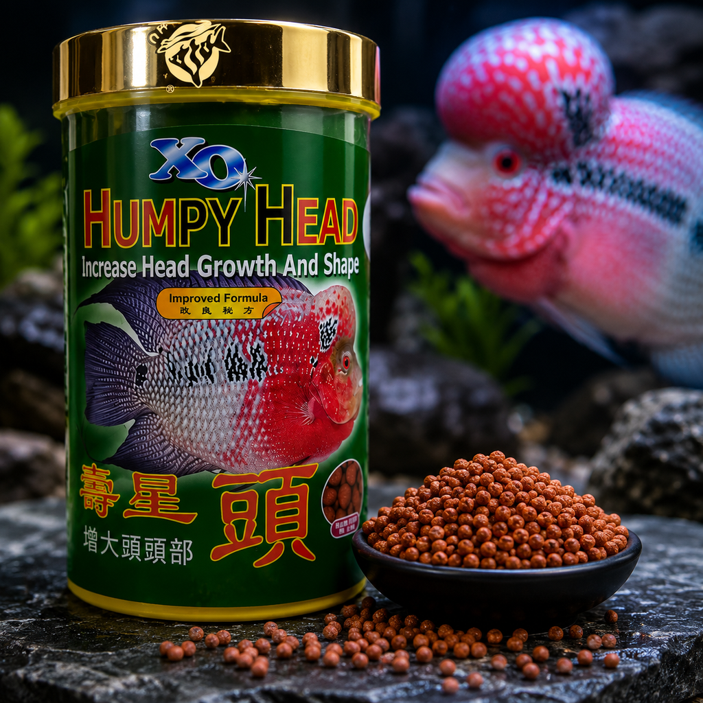 Ocean Free XO Humpy Head Flowerhorn Fish Food | Enhances Head Growth & Body Shape