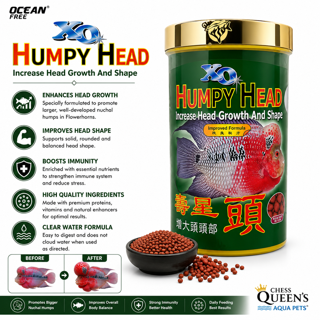Ocean Free XO Humpy Head Flowerhorn Fish Food | Enhances Head Growth & Body Shape