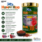 Ocean Free XO Humpy Head Flowerhorn Fish Food | Enhances Head Growth & Body Shape