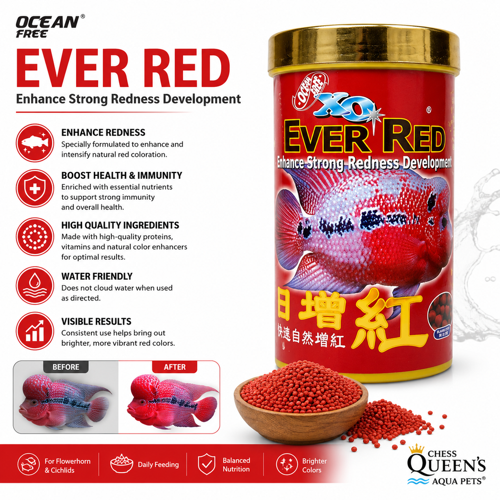 Ocean Free XO Ever Red Flowerhorn Fish Food | Premium Color Enhancing Food for Flowerhorn & Cichlids