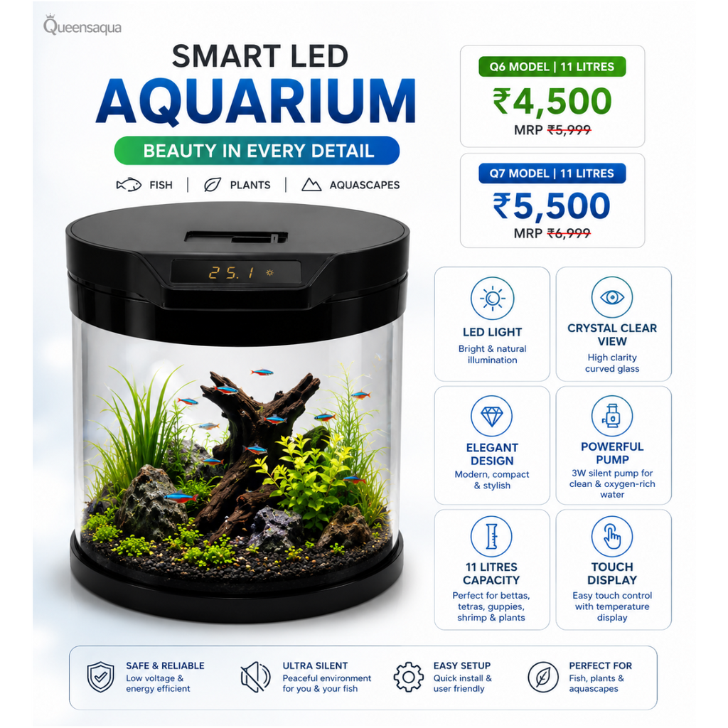 Blue Pet Q7 Cylindrical Aquarium with Built-In Filter