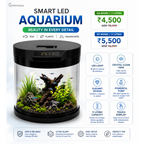 Blue Pet Q7 Cylindrical Aquarium with Built-In Filter