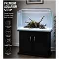 2 Feet Curved Aquarium 65L with Cabinet