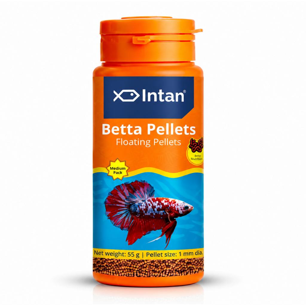IIntan Betta Pellets