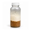 Micro Worms Starter Culture - Live Food