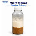Micro Worms Starter Culture - Live Food