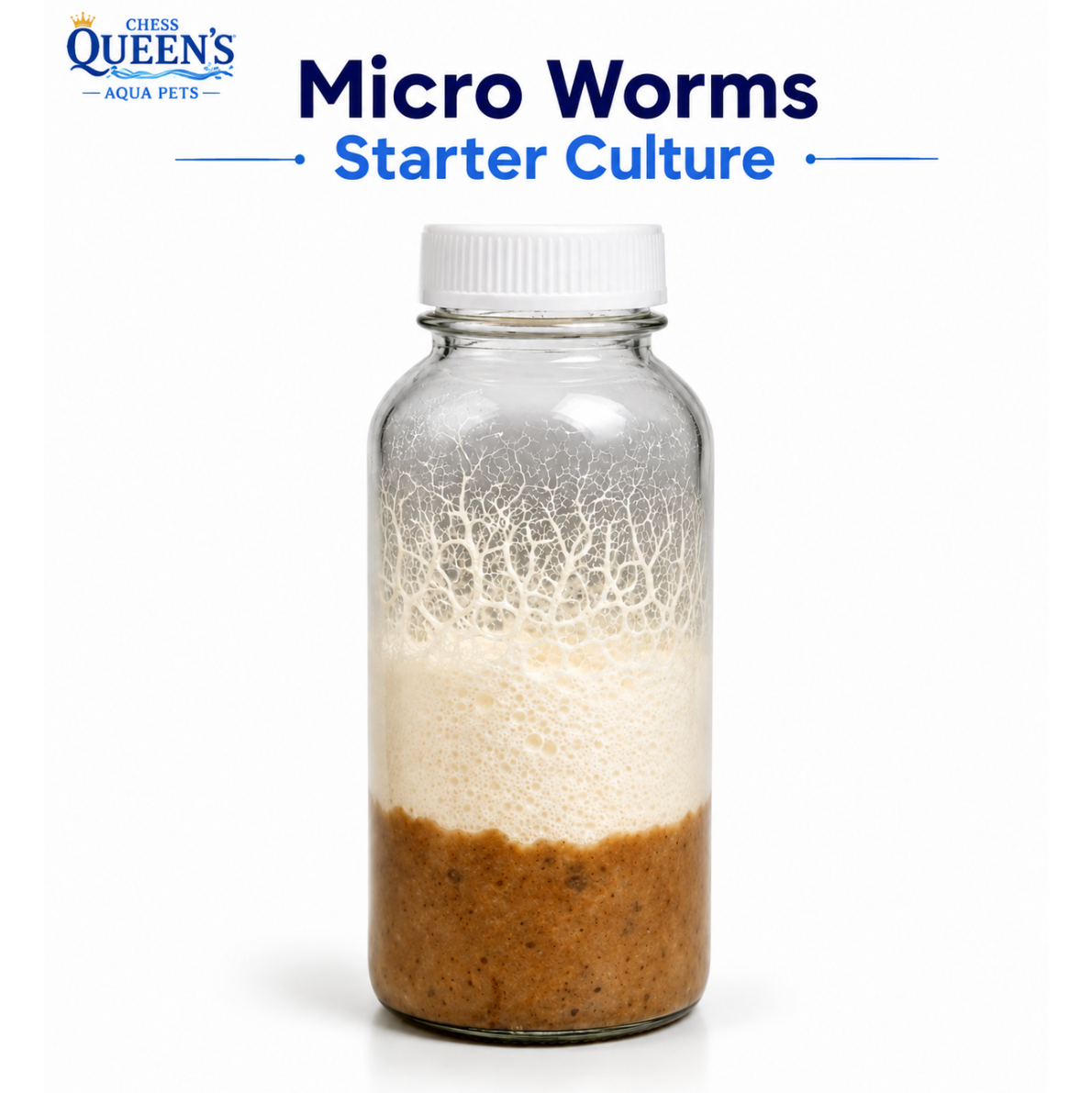 Micro Worms Starter Culture - Live Food