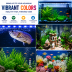 BLUE PET T4-40 Changing LED Light for Aquarium