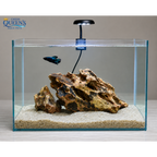 Aquarium Dragon Rock