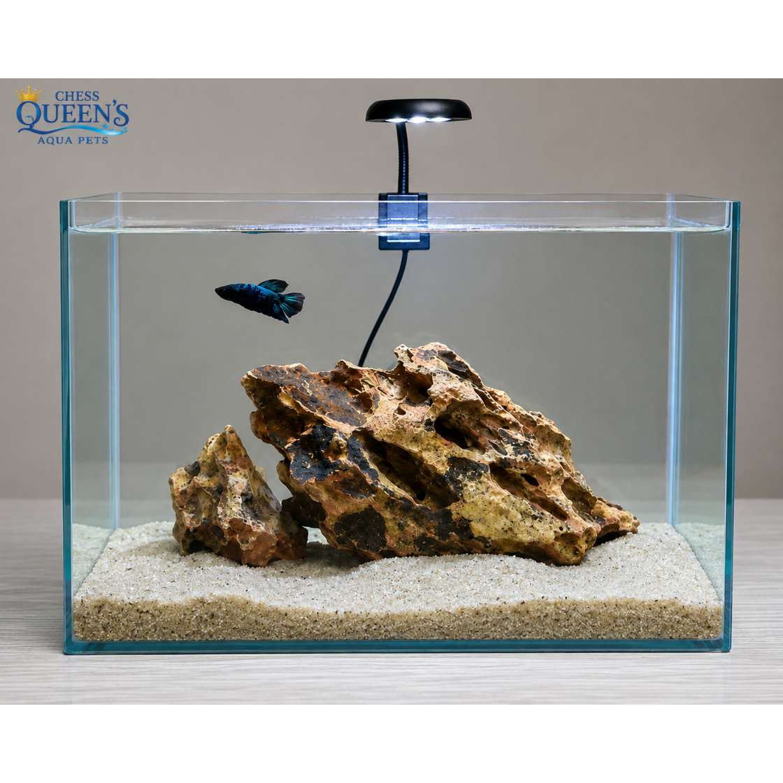 Aquarium Dragon Rock