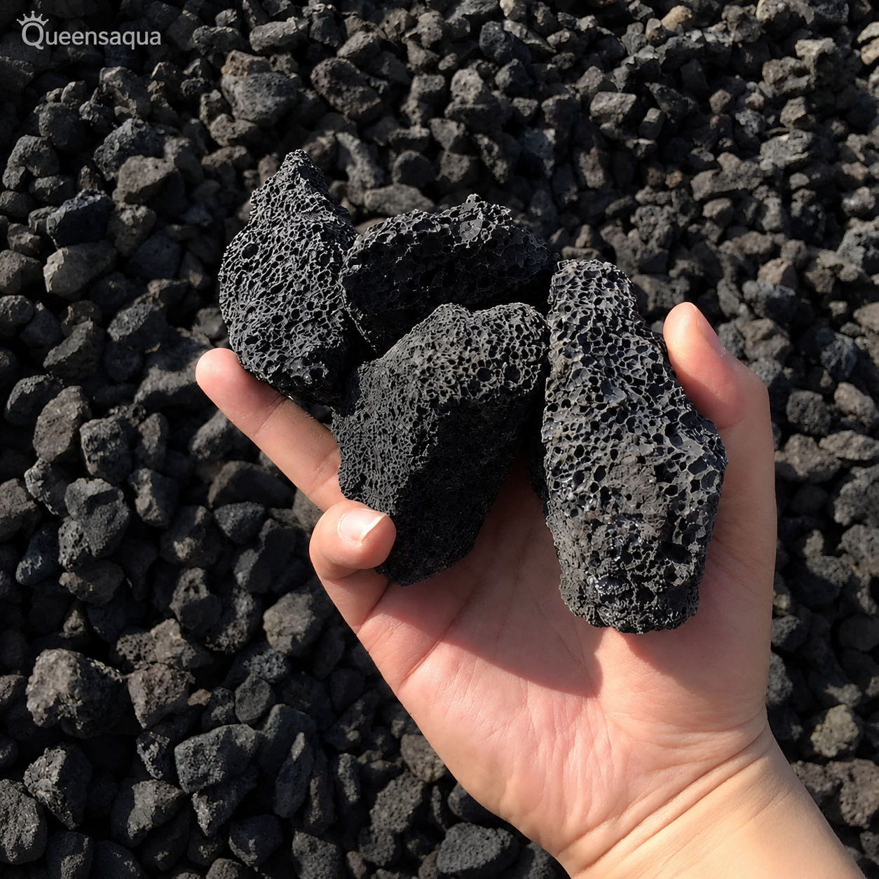 Black Lava Rock