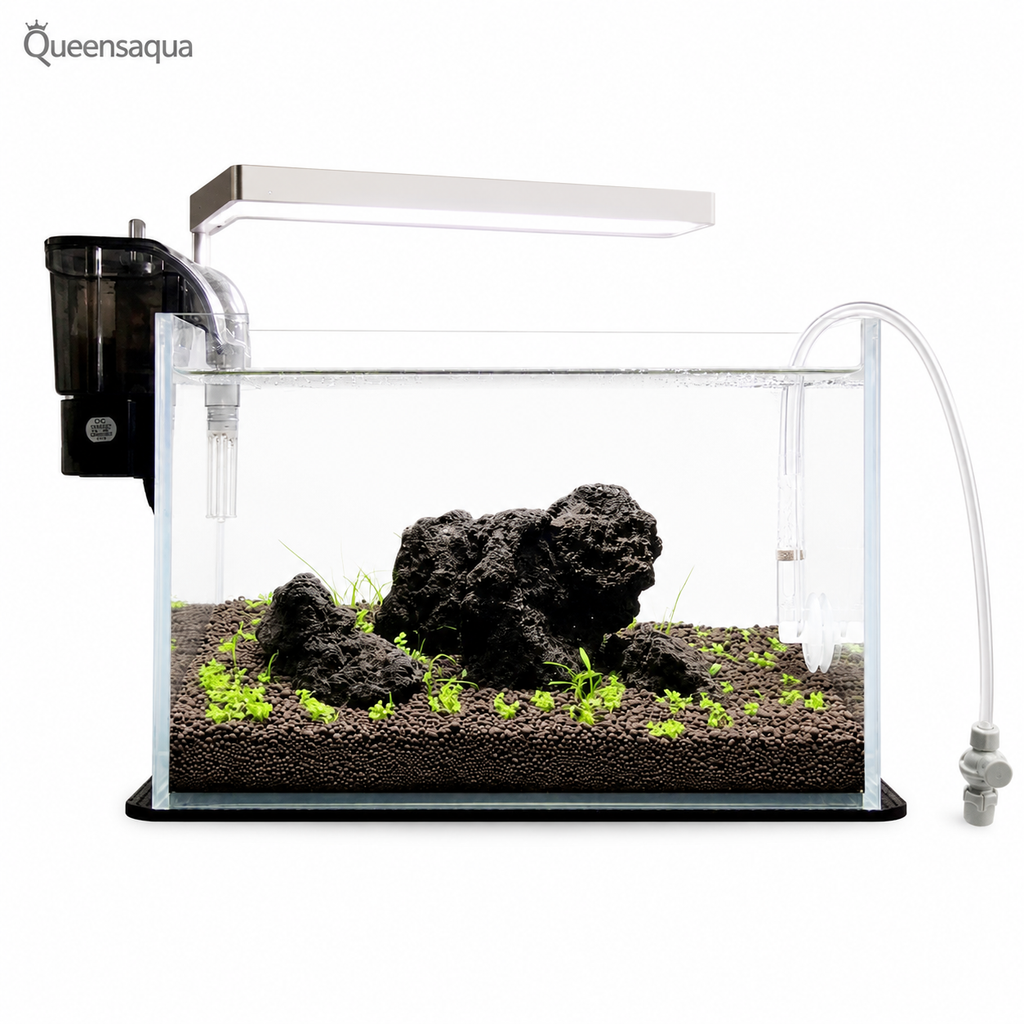 Black Lava Rock