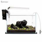 Black Lava Rock