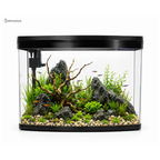 Blue Pet Curved Glass Aquarium Tank with LED Light, Filter & Motor