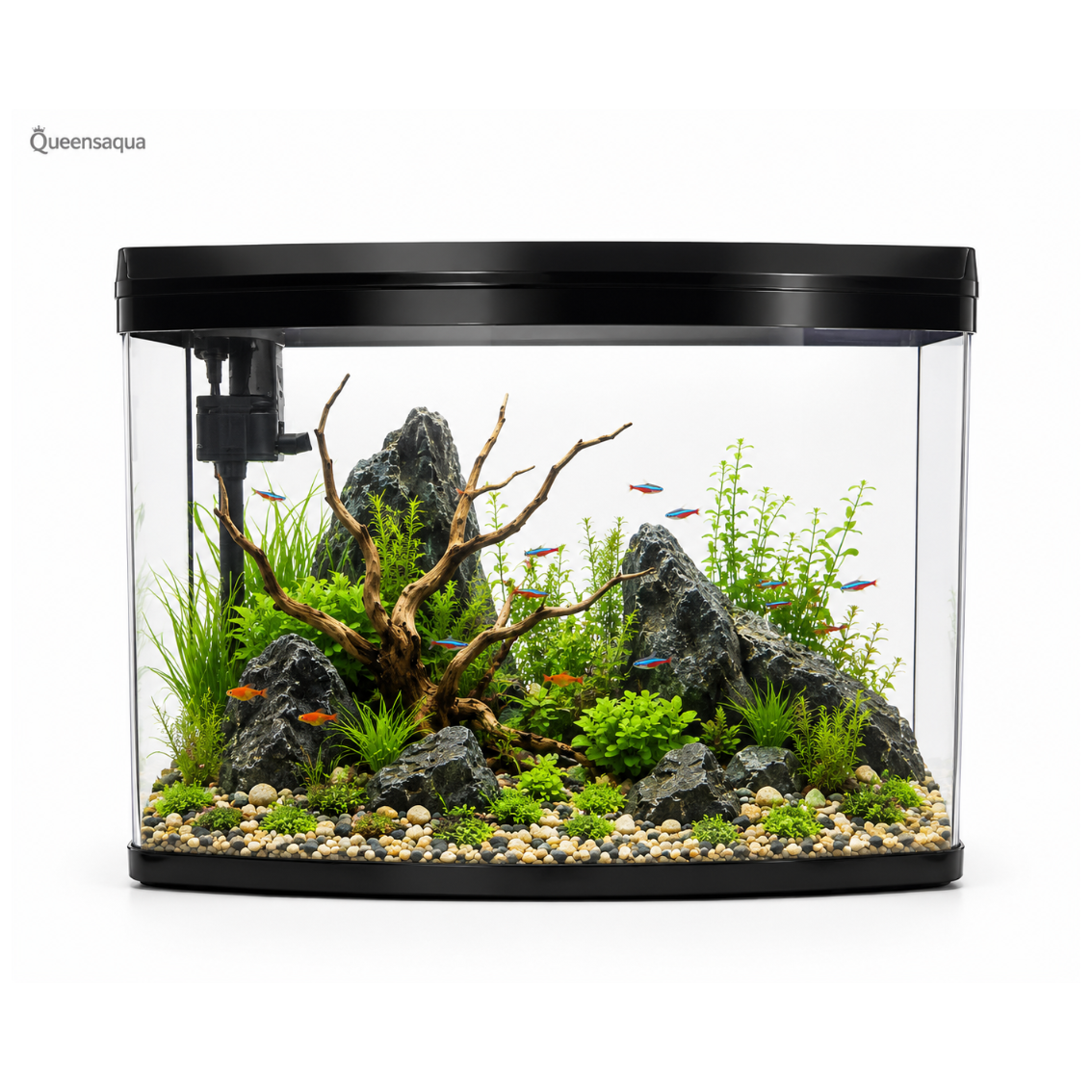 Blue Pet Curved Glass Aquarium Tank with LED Light, Filter & Motor