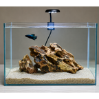 Aquarium Dragon Rock