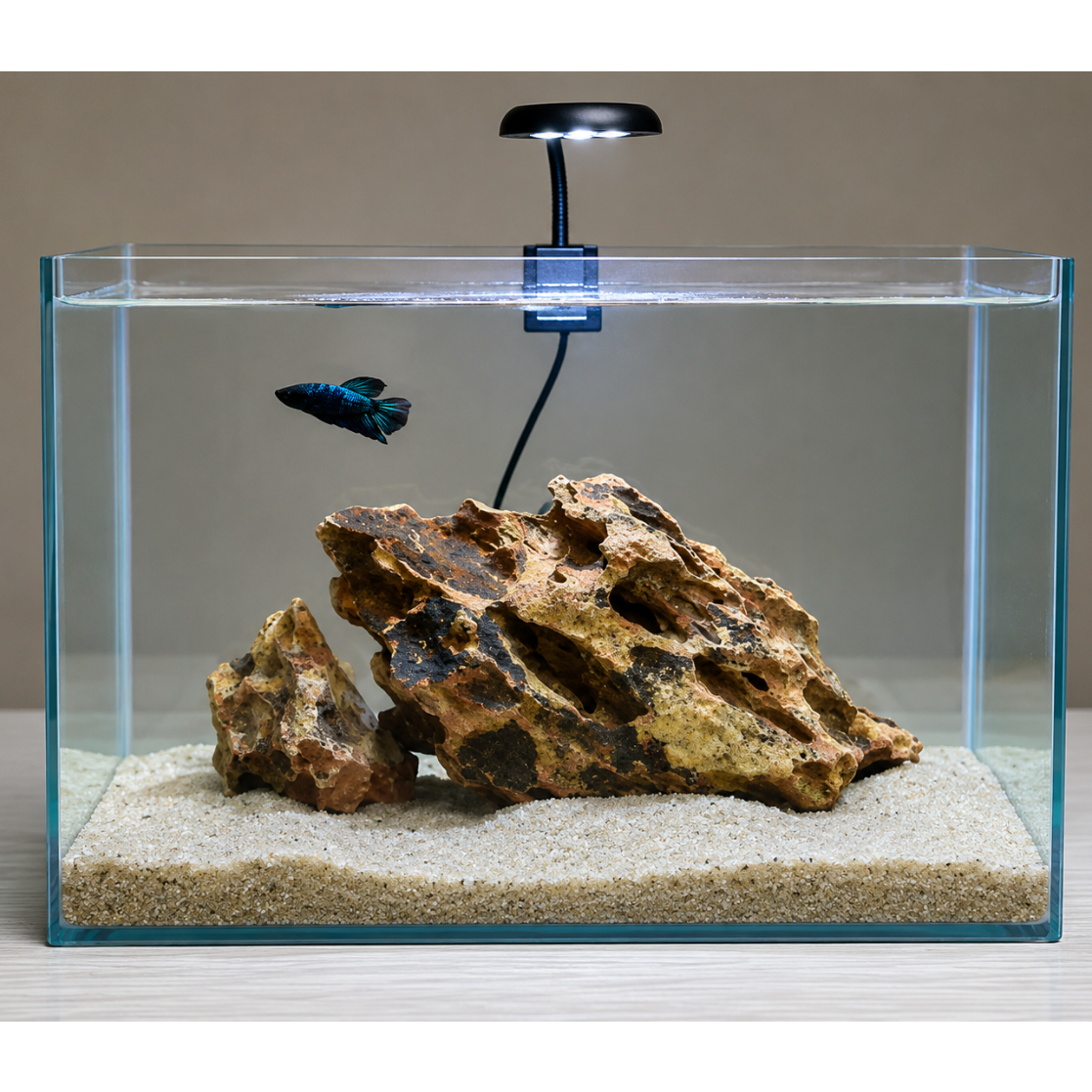Aquarium Dragon Rock