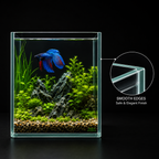 Extra Clear Betta Fish Tank 4.5L (6x6x8 Inch) – 4mm Glass