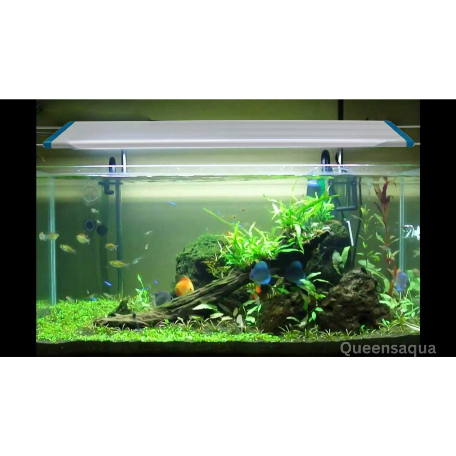 Blue pet BR-50 Bracket Adjustable Aquarium Light
