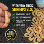 Pearl Pellets Freeze Dried Shrimps (Unsalted) 40g | Natural High Protein Fish Treat