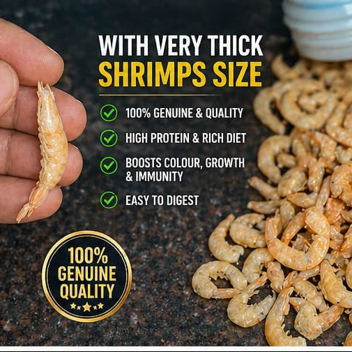 Pearl Pellets Freeze Dried Shrimps (Unsalted) 40g | Natural High Protein Fish Treat