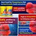Pearl Pellets Flowerhorn Food 100g | Premium Flowerhorn Fish Food