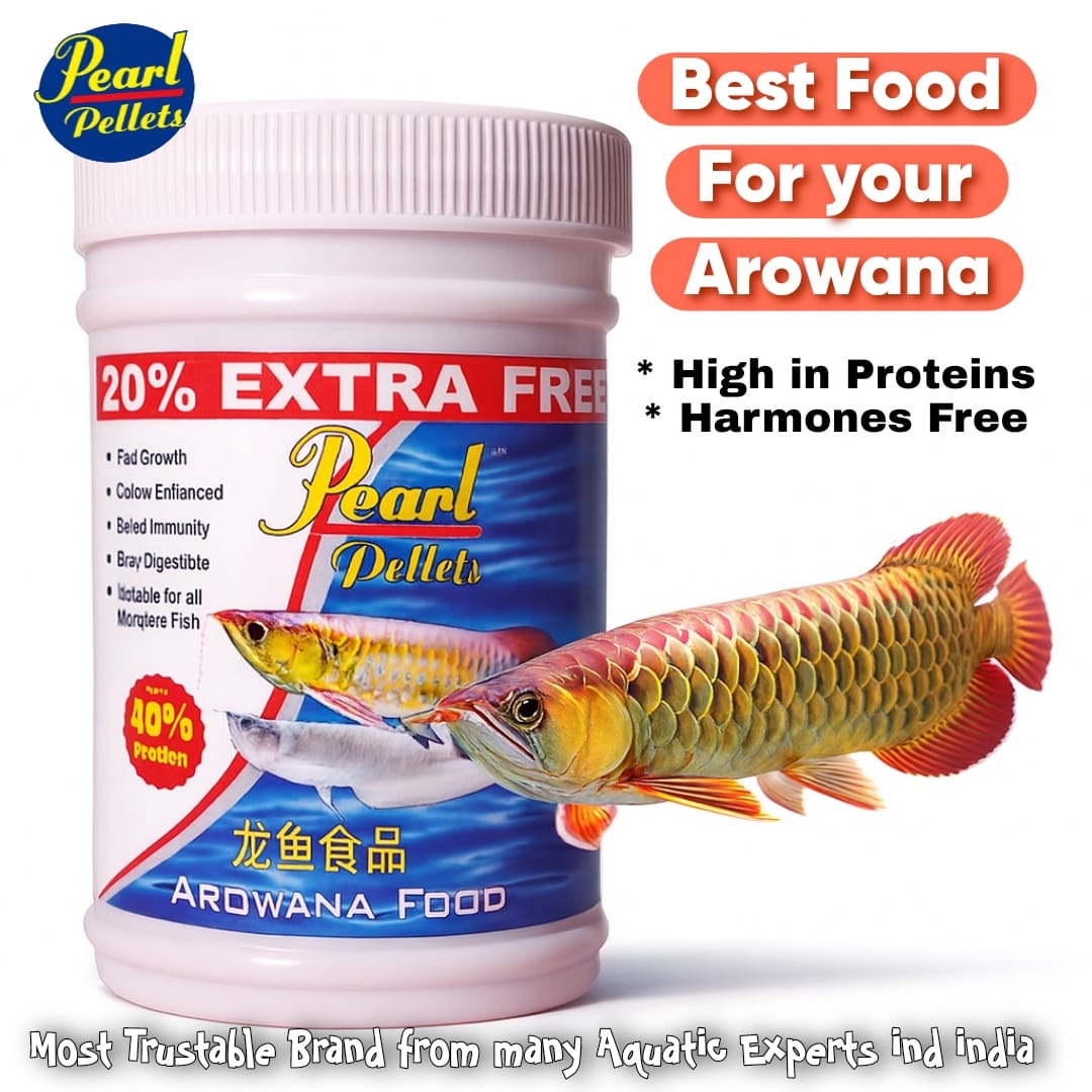 Pearl Pellets Arowana Sticks 100g | Premium Arowana Fish Food