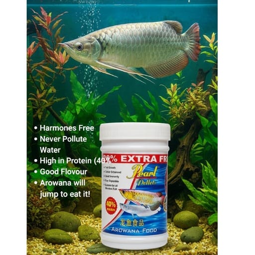 Pearl Pellets Arowana Sticks 100g | Premium Arowana Fish Food