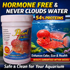 Pearl Pellets Flowerhorn Food 100g | Premium Flowerhorn Fish Food