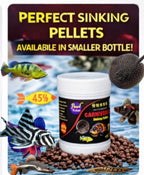 Pearl Pellets Carnivorous Sinking Fish Food 100g | 45% High Protein Monster Fish Food