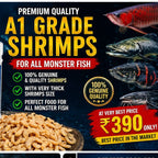 Pearl Pellets Freeze Dried Shrimps (Unsalted) 40g | Natural High Protein Fish Treat