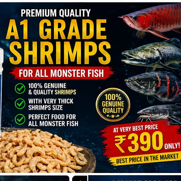 Pearl Pellets Freeze Dried Shrimps (Unsalted) 40g | Natural High Protein Fish Treat